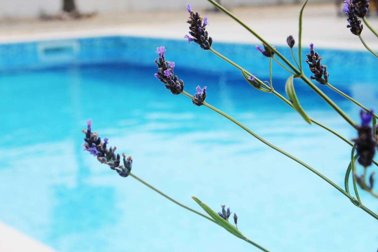 Azimute Guest House Aljezur Ngoại thất bức ảnh